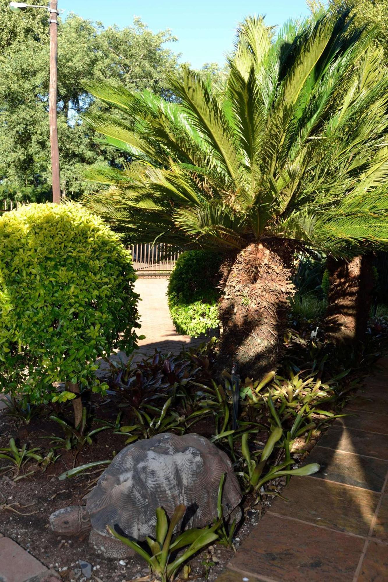 Cycas Guest House Malalane Exterior photo