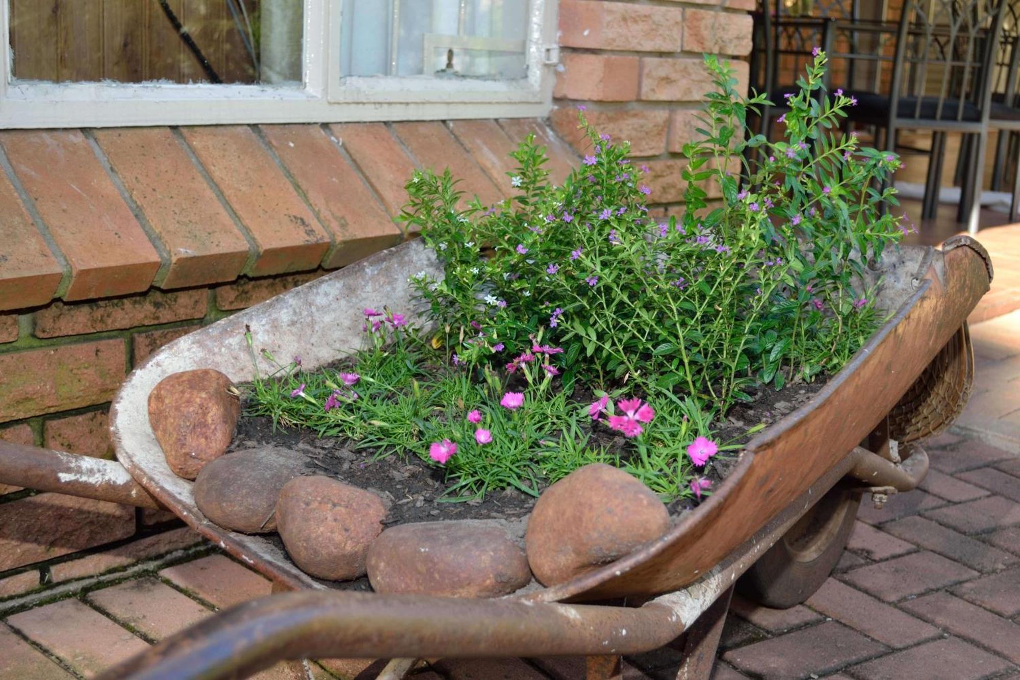 Cycas Guest House Malalane Exterior photo